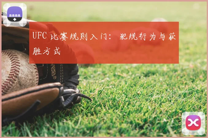 UFC 比赛规则入门:犯规行为与获胜方式