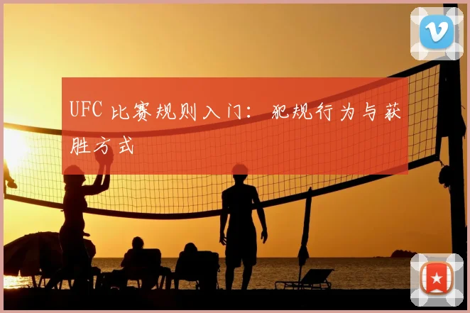 UFC 比赛规则入门：犯规行为与获胜方式